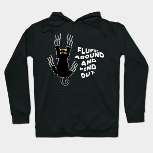 Fluff Around And Find Out Funny Cat Hoodie